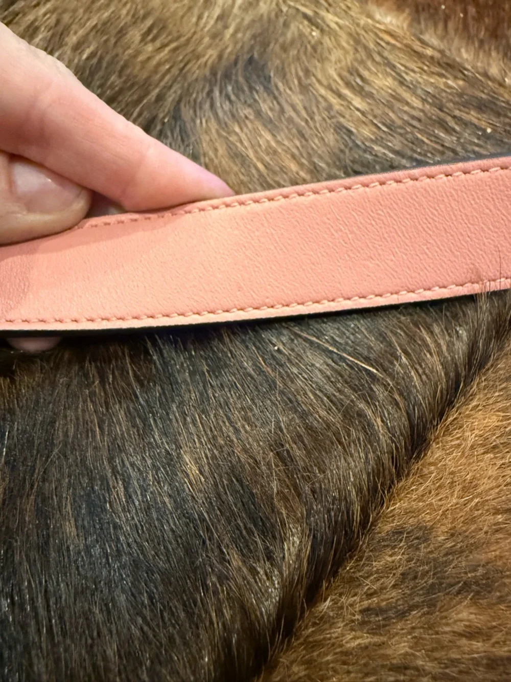 New Gucci Girls Pink GG Belt